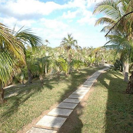 Rocks Retreat By Eleuthera Vacation Rentals North Palmetto Point Екстер'єр фото