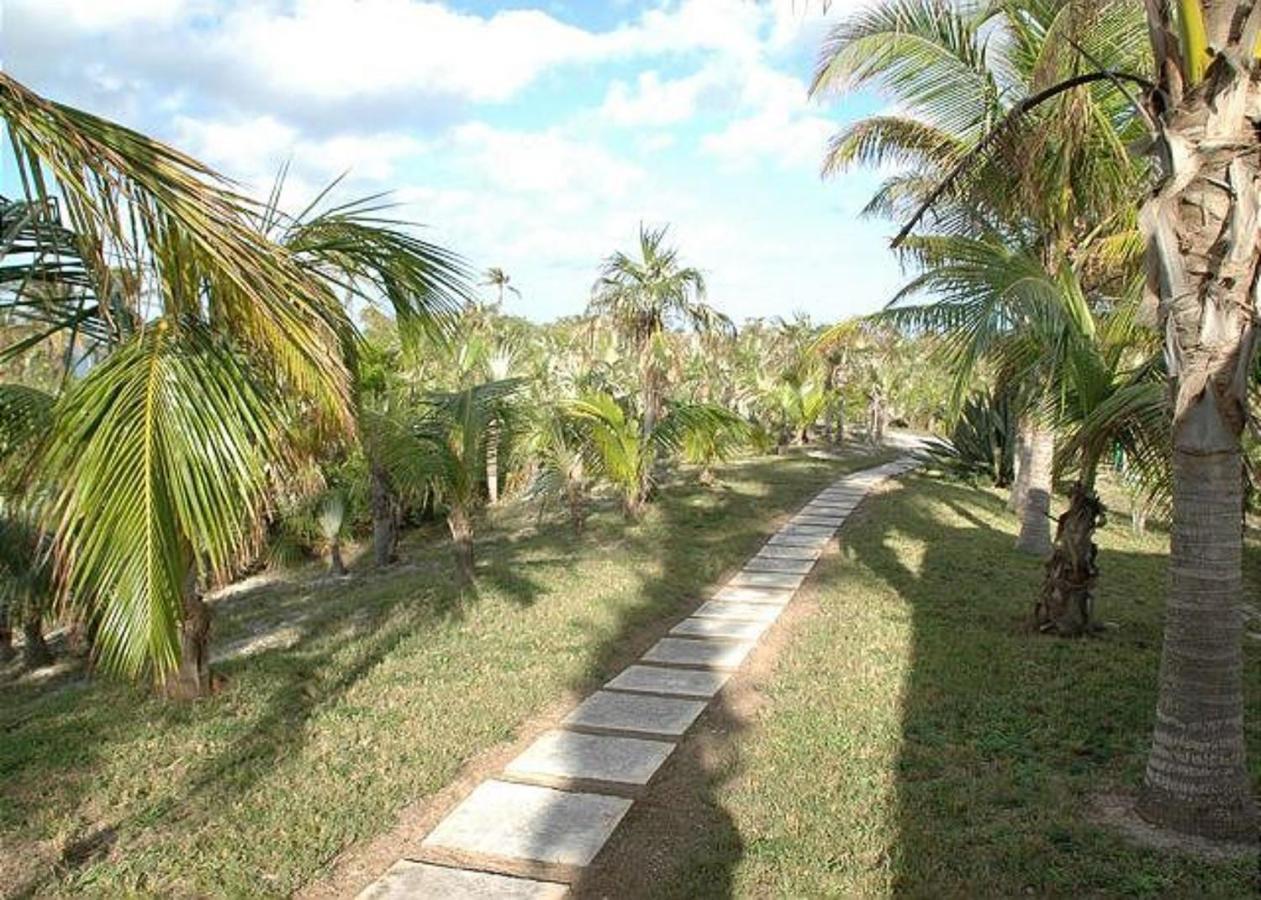 Rocks Retreat By Eleuthera Vacation Rentals North Palmetto Point Екстер'єр фото